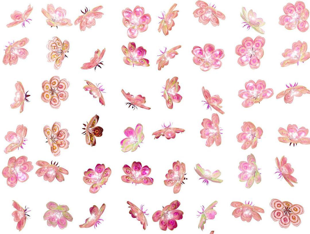 A grid of dozens of small pink flowers on white, each at a different stage of opening and seen from a different angle.
